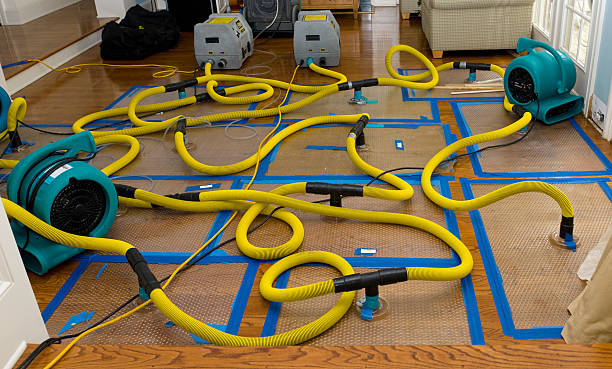 Professional Flood Damage Restoration technician working in Euclid, OH